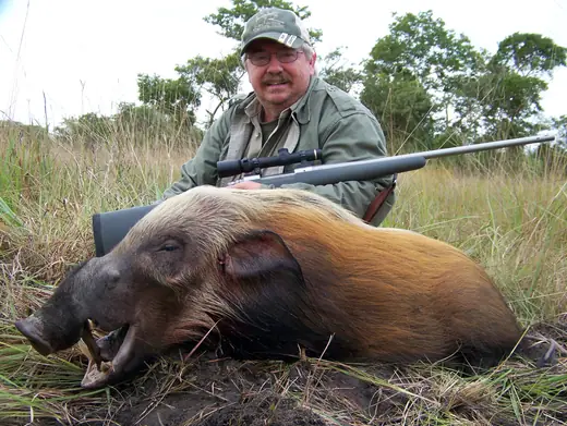 Africa Plains Game Hunts — photograph from the Gunners Taxidermy gallery