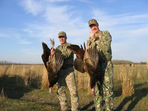 Osceola Turkey Hunts — photograph from the Gunners Taxidermy gallery