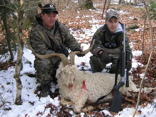 Exotic Hunts — photograph from the Gunners Taxidermy gallery