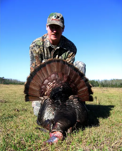 Osceola Turkey Hunts — photograph from the Gunners Taxidermy gallery