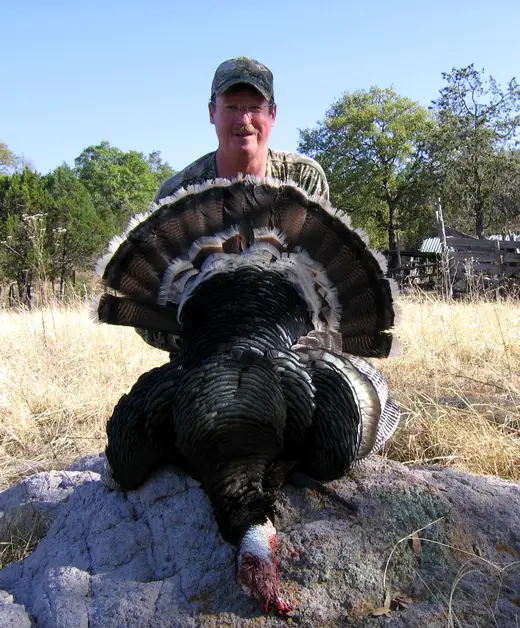 Gould's Turkey Hunts — photograph from the Gunners Taxidermy gallery