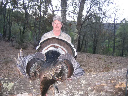 Gould's Turkey Hunts — photograph from the Gunners Taxidermy gallery
